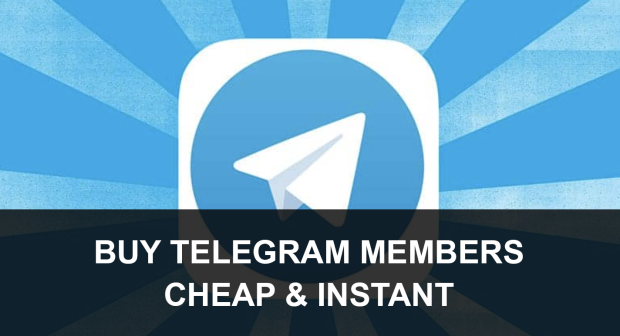 Choosing the Best Buy Telegram Member Provider