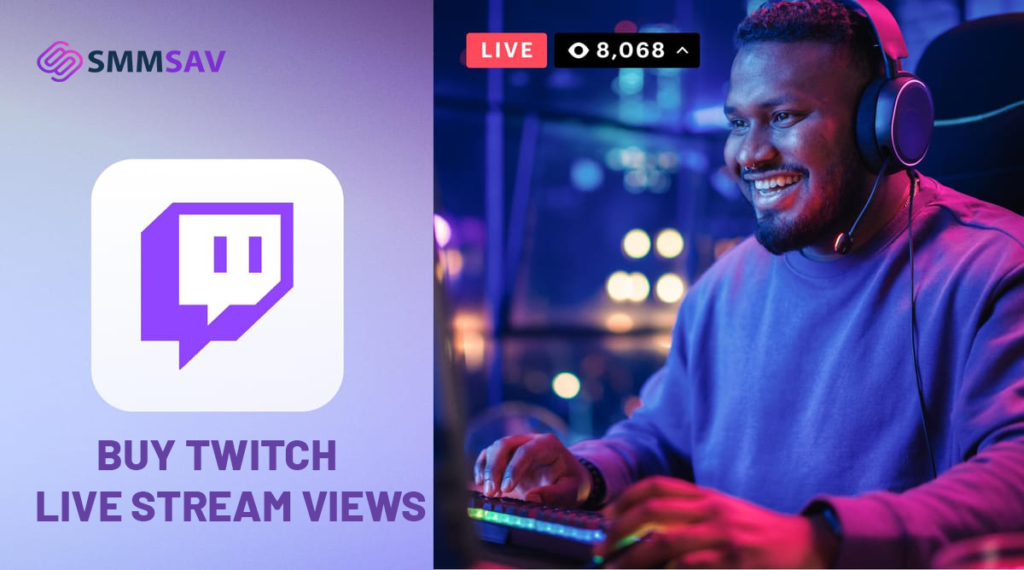 Boost Your Twitch Channel: Buy Twitch Live Stream Views 2024